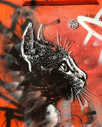 textured illustration